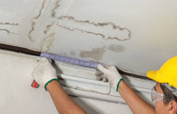 Reliable Structural Drying contractor in Wimbledon, ND by Water Damage Irwin